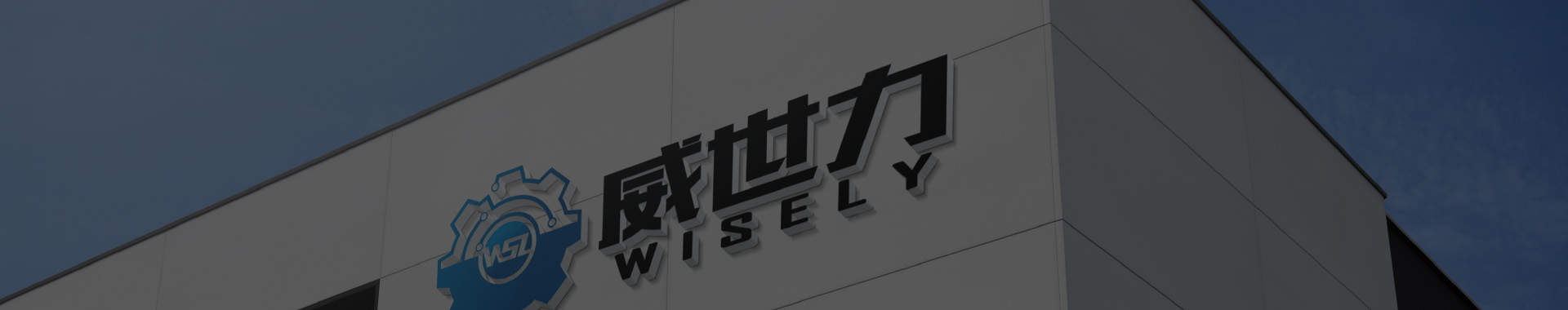 Taizhou Wisely Technology Co., Ltd.