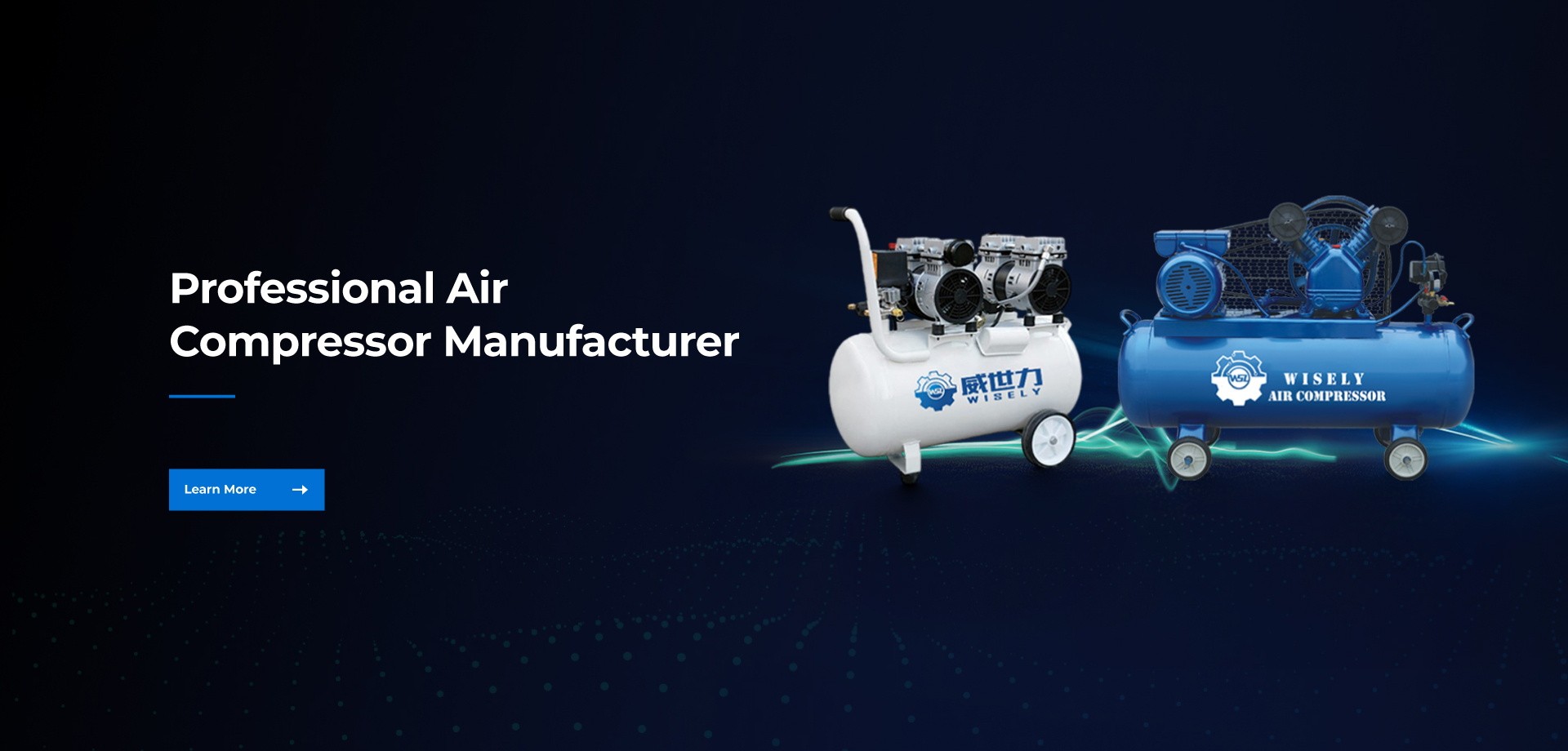 Taizhou Wisely Technology Co., Ltd.